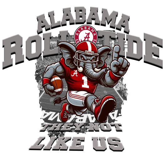 ALBAMA FOOTBALL FAN PNG